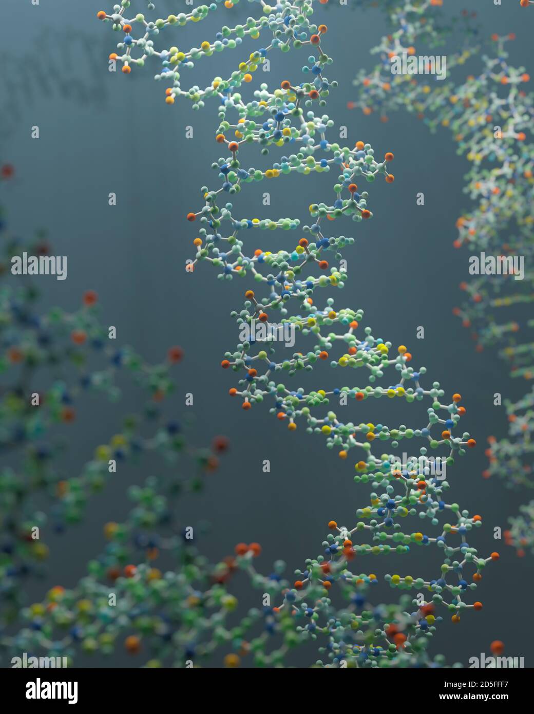 DNA ist ein Molekül und eine Doppelhelix, die genetische Anweisungen für die Entwicklung, Funktion, Wachstum und Fortpflanzung aller bekannten Organismen enthält. Stockfoto