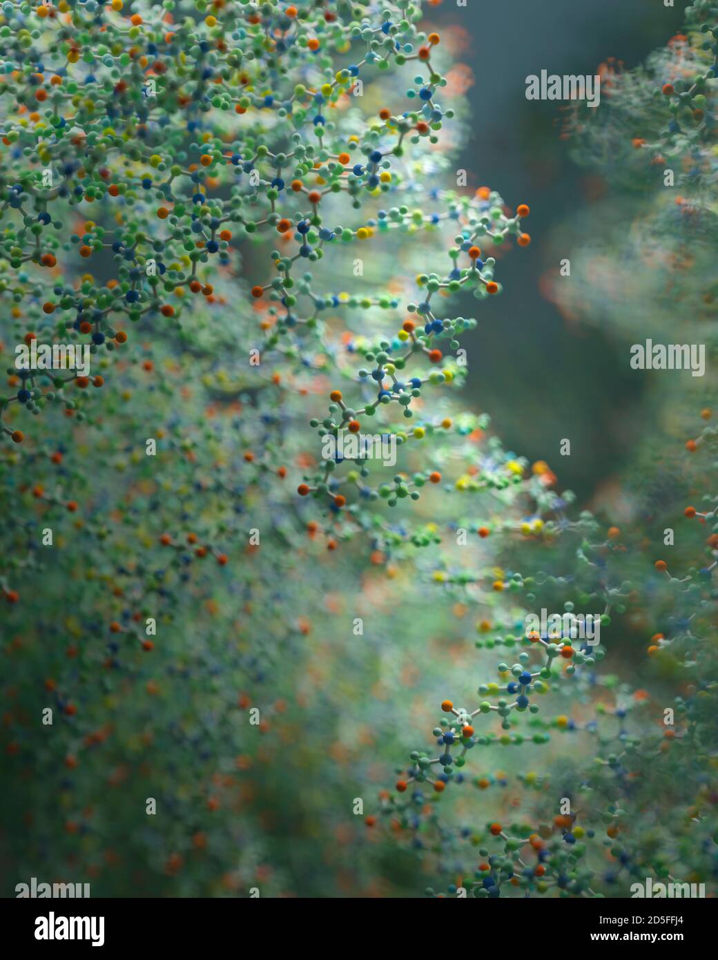 DNA ist ein Molekül und eine Doppelhelix, die genetische Anweisungen für die Entwicklung, Funktion, Wachstum und Fortpflanzung aller bekannten Organismen enthält. Stockfoto