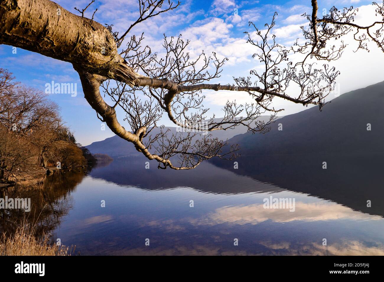 Der Lake District Nationalpark Stockfoto