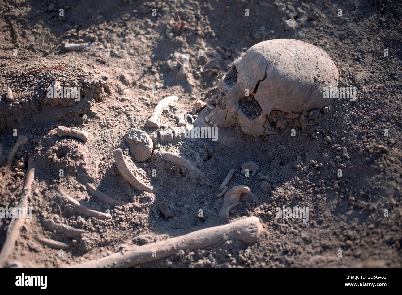 Serbien, 27. September 2019: Menschliche Überreste aus der römischen Zeit bei archäologischen Ausgrabungen in Vinča entdeckt Stockfoto