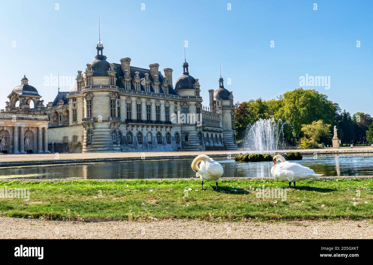 Chateau de Chantilly mit zwei Schwanen im Vordergrund - Frankreich Stockfoto
