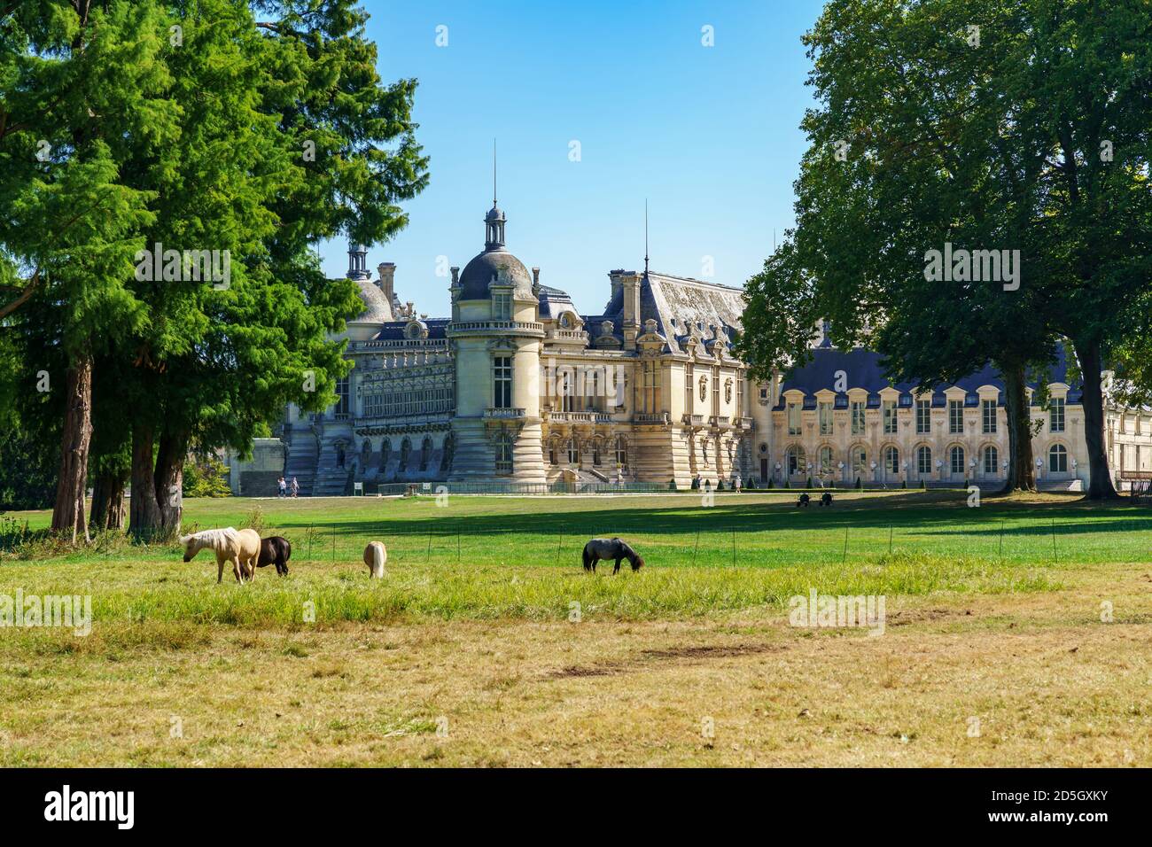 Rückansicht des Chateau de Chantilly mit Pferden in der Vordergrund - Frankreich Stockfoto