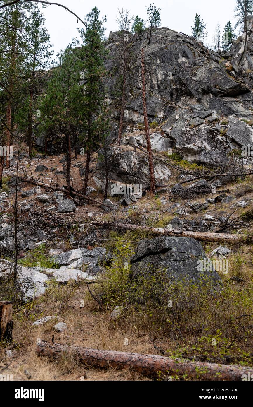 Rock Cliffs in EINER Burn Area an der Little Spokane Naturgebiet Stockfoto
