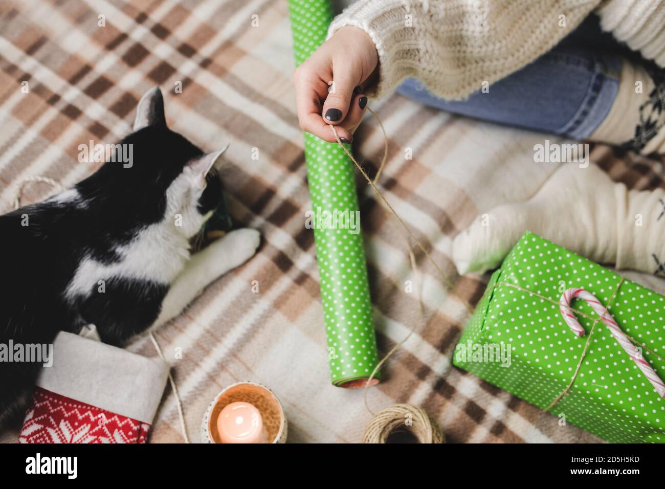 Junge Frau sitzt auf karierten in kuschelig gestrickten weißen Wollpullover, Socken und wickelt Weihnachtsgeschenk in Polka Punkt Geschenkpapier. Lustige schwarz-weiße Tuxe Stockfoto