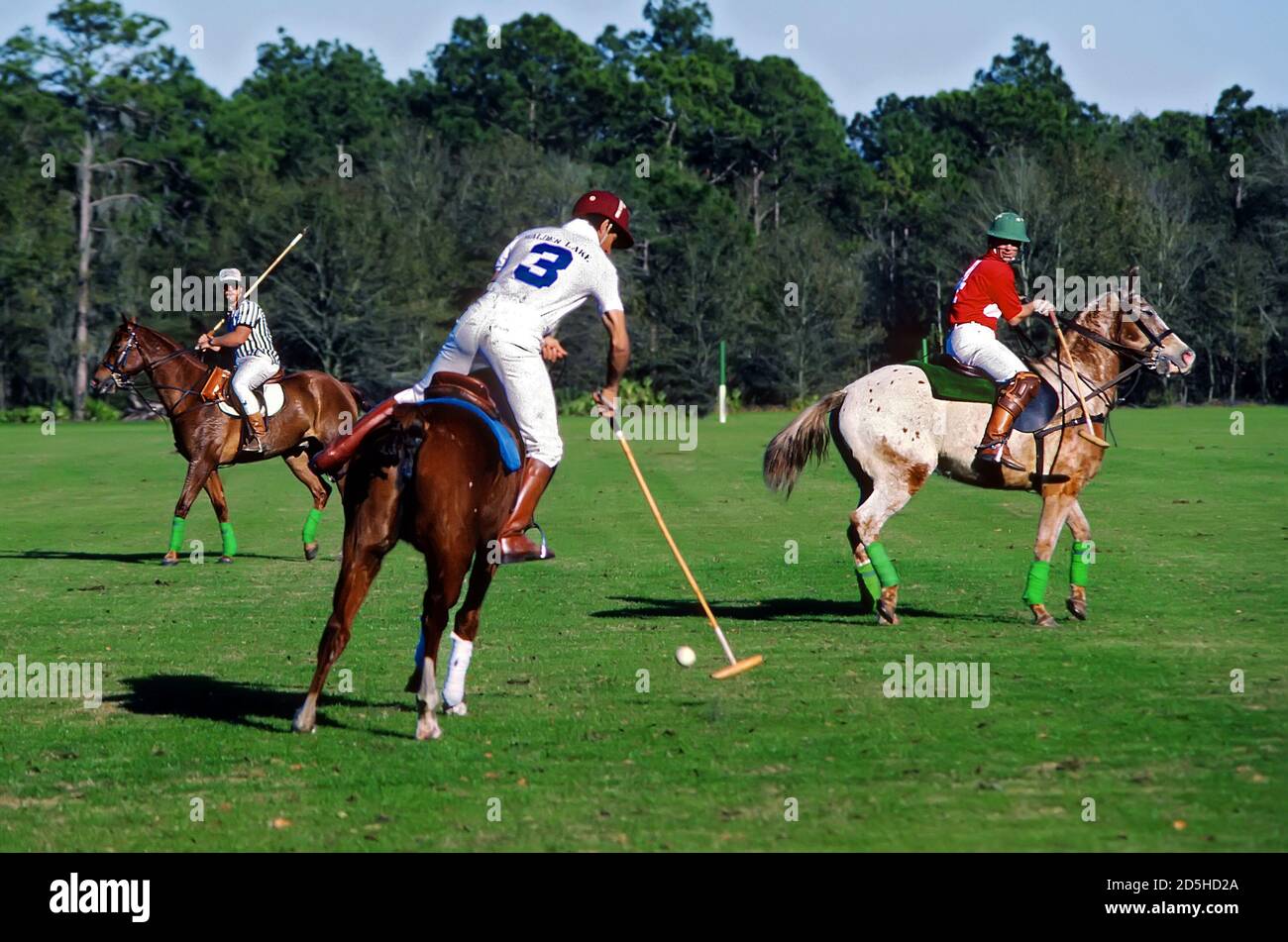 Polo-Spiel - Plant City - Florida Polo, Spiel zu Pferd zwischen zwei Teams von vier Spielern, die jeweils Schläger mit langen, flexiblen Griffe t Stockfoto