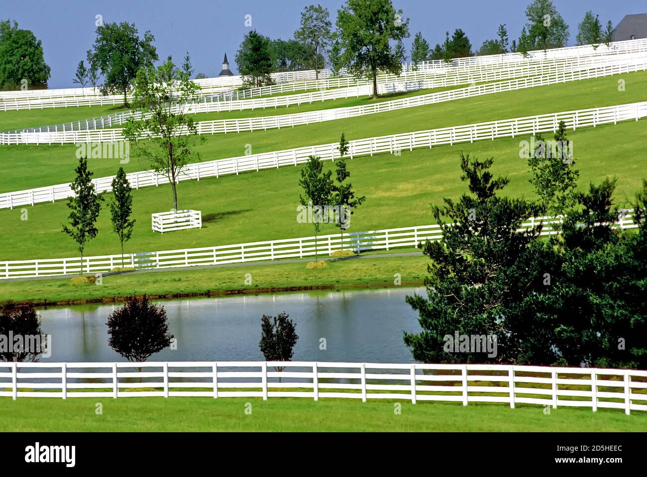 Pferdefarmen in Lexington, Kentucky Stockfoto