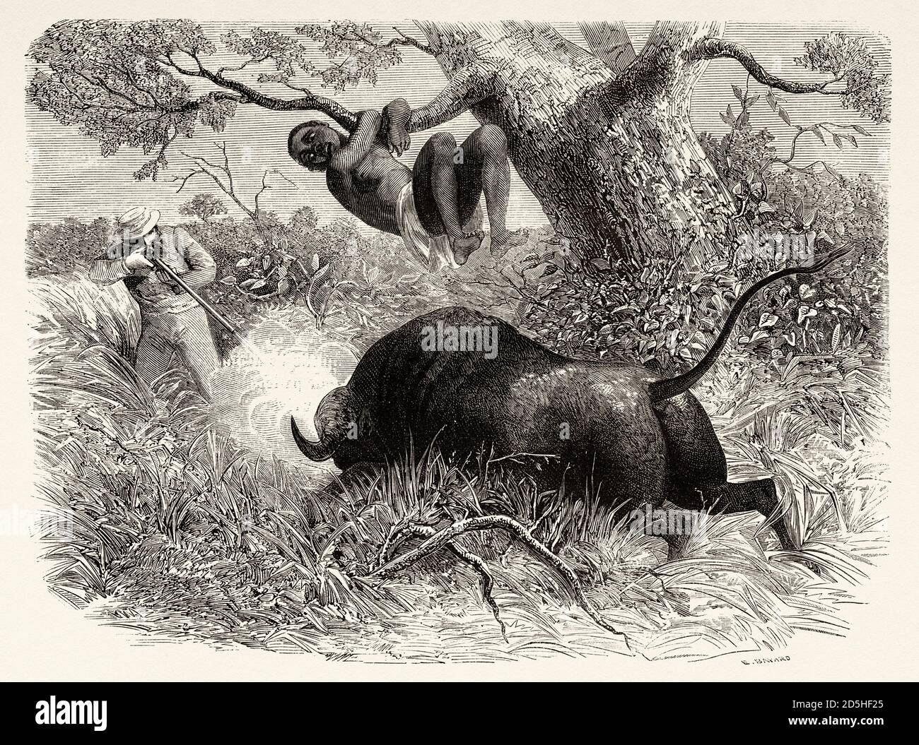 Der berühmte Entdecker Captain John Hanning Speke beim Büffelschießen, Tansania, Afrika. Altes XIX Jahrhundert gestochen von Le Tour du Monde 1864 Stockfoto Der berühmte Entdecker Captain John Hanning Speke beim Büffelschießen, Tansania, Afrika. Altes XIX Jahrhundert gestochen von Le Tour du Monde 1864 Stockfoto