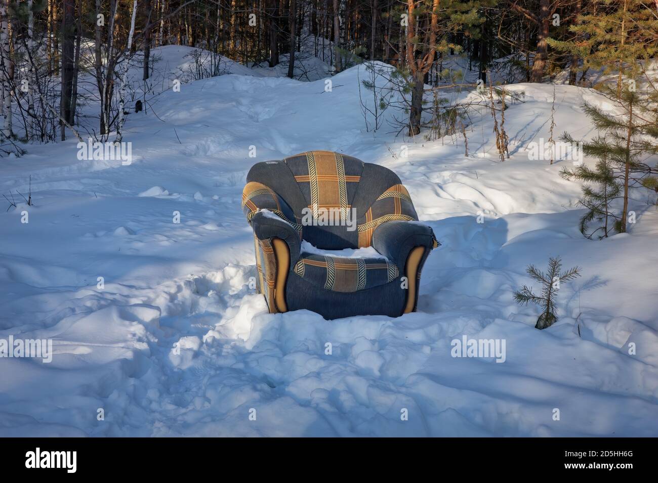 Ein Sessel steht in einem verschneiten Wald. Stockfoto