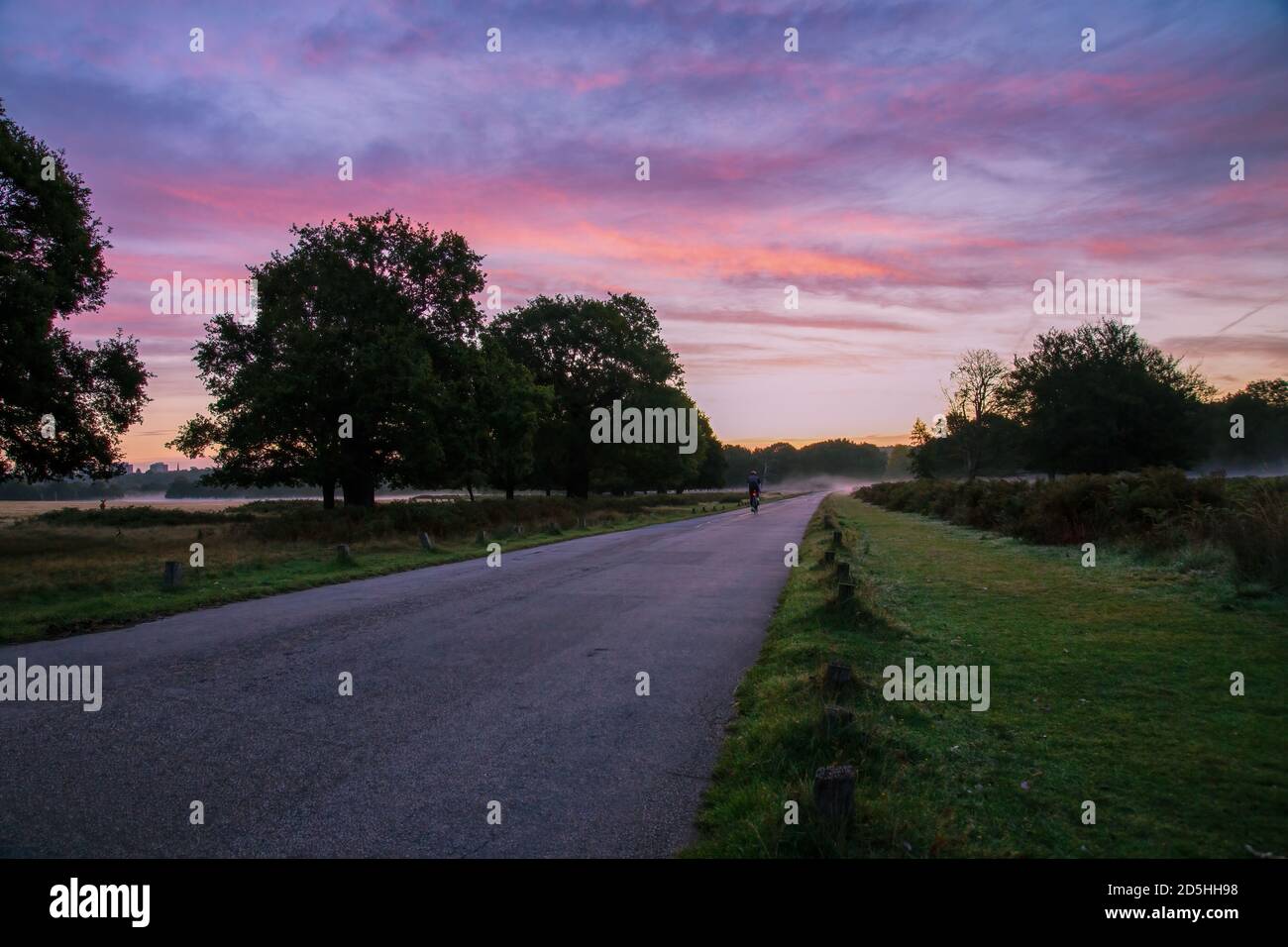 Radfahrer fahren bei Sonnenaufgang an einem nebligen Morgen durch Richmond Park, Surrey, England Stockfoto