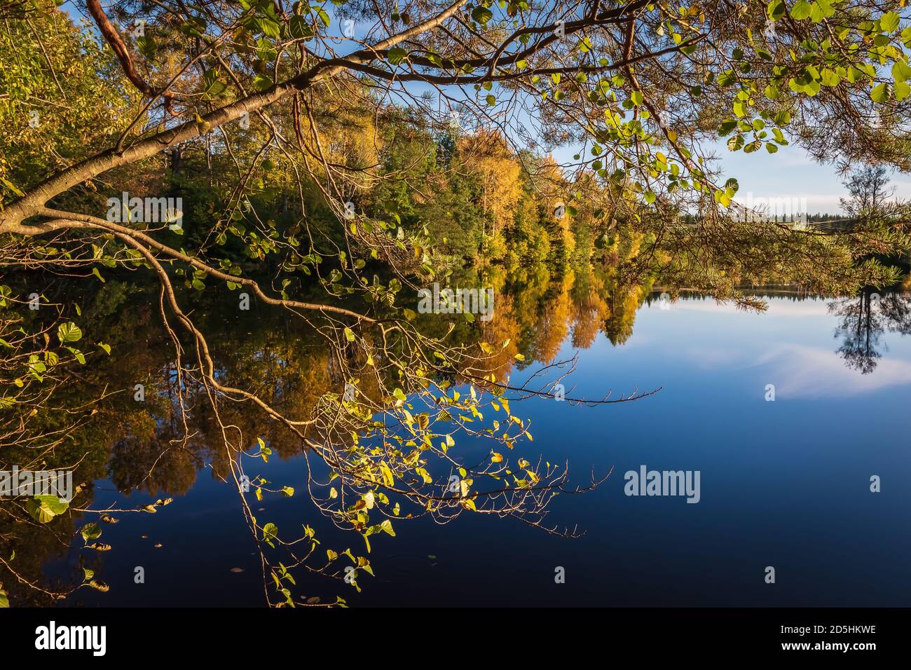 Herbstbäume, die durch den Fluss an der erleuchten Sonne unter den schönen Farben des Herbstes in schwedischer Natur Stockfoto