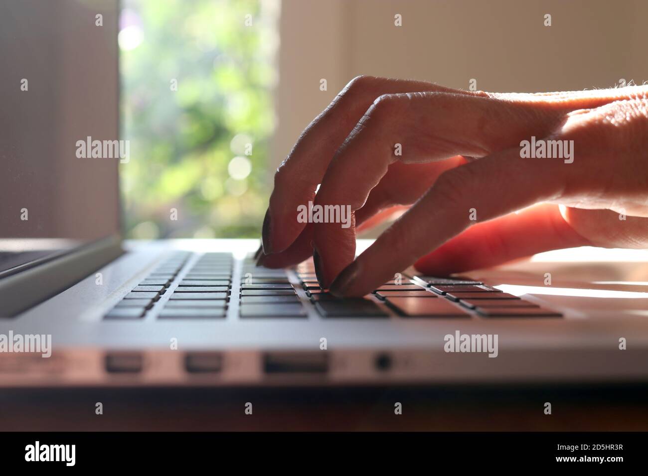 Hände der Frau, die auf dem Laptop tippen Stockfoto