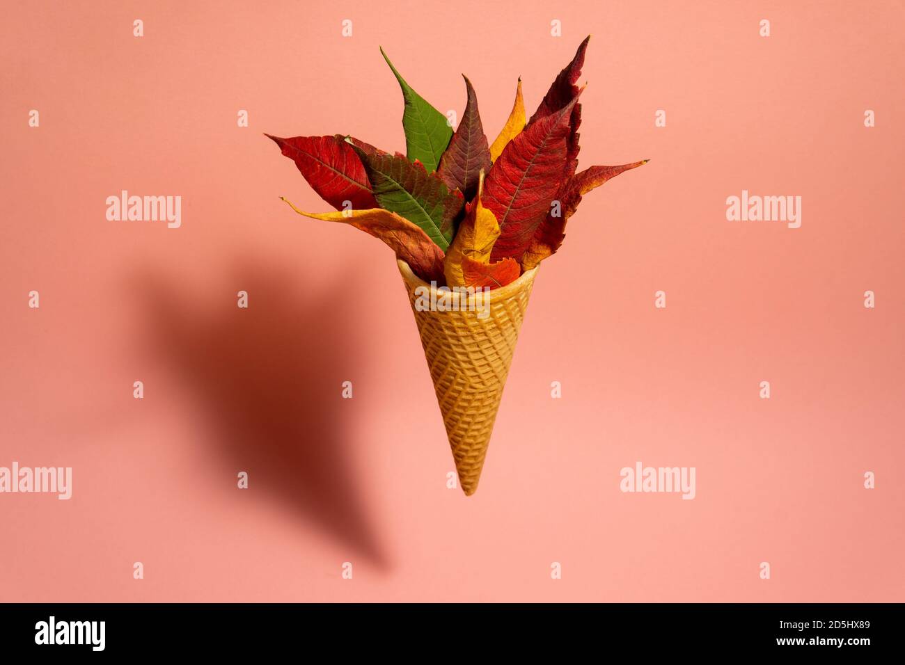 Herbstblätter im Eiskegel Stockfoto