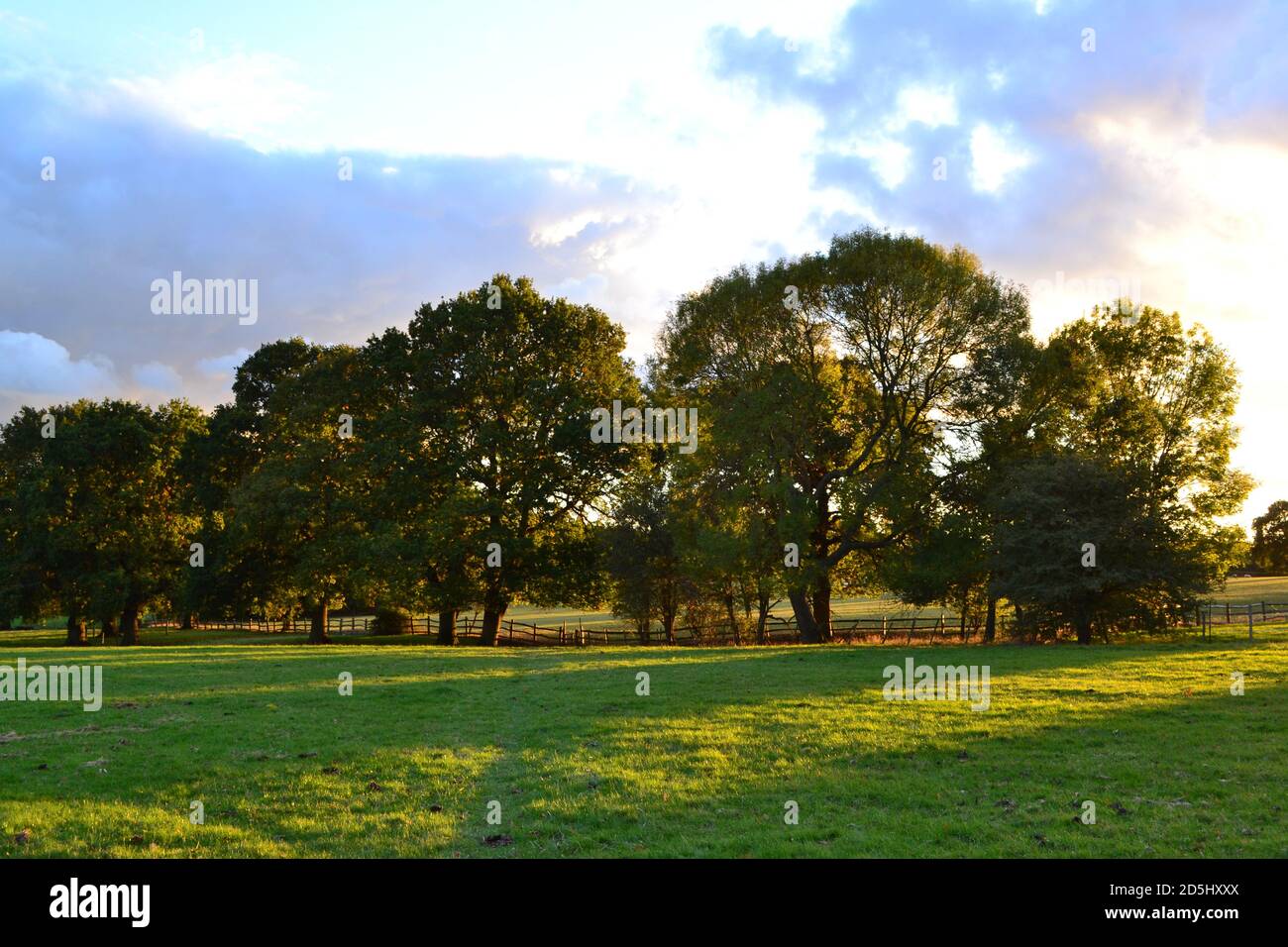 Pleasant Weald of Kent Blick auf die Landschaft bei Greensand Ridge in der Nähe von Underriver, Sevenoaks, Oktober. Stockfoto