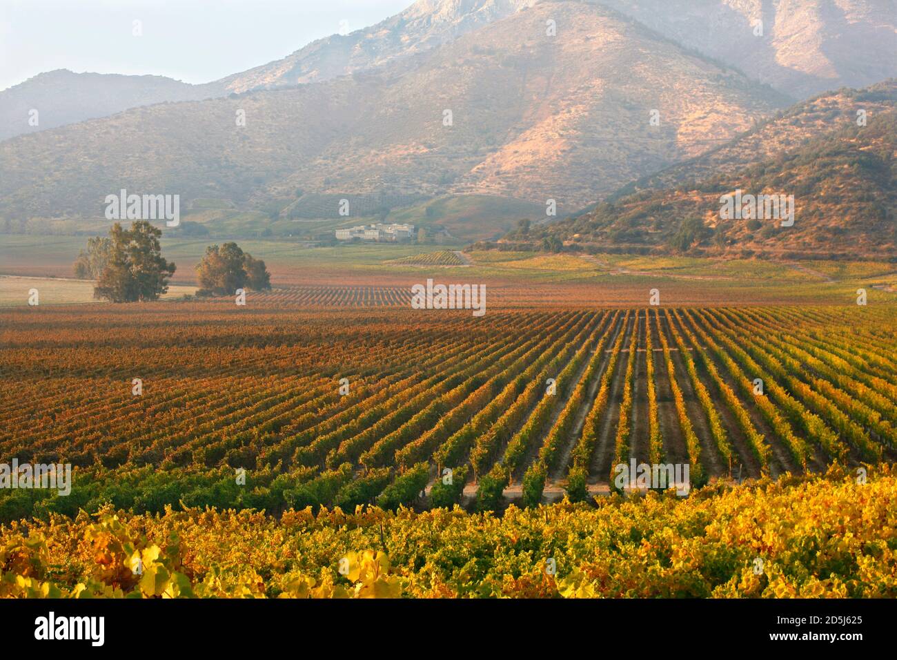 Chile, Südamerika Stockfoto