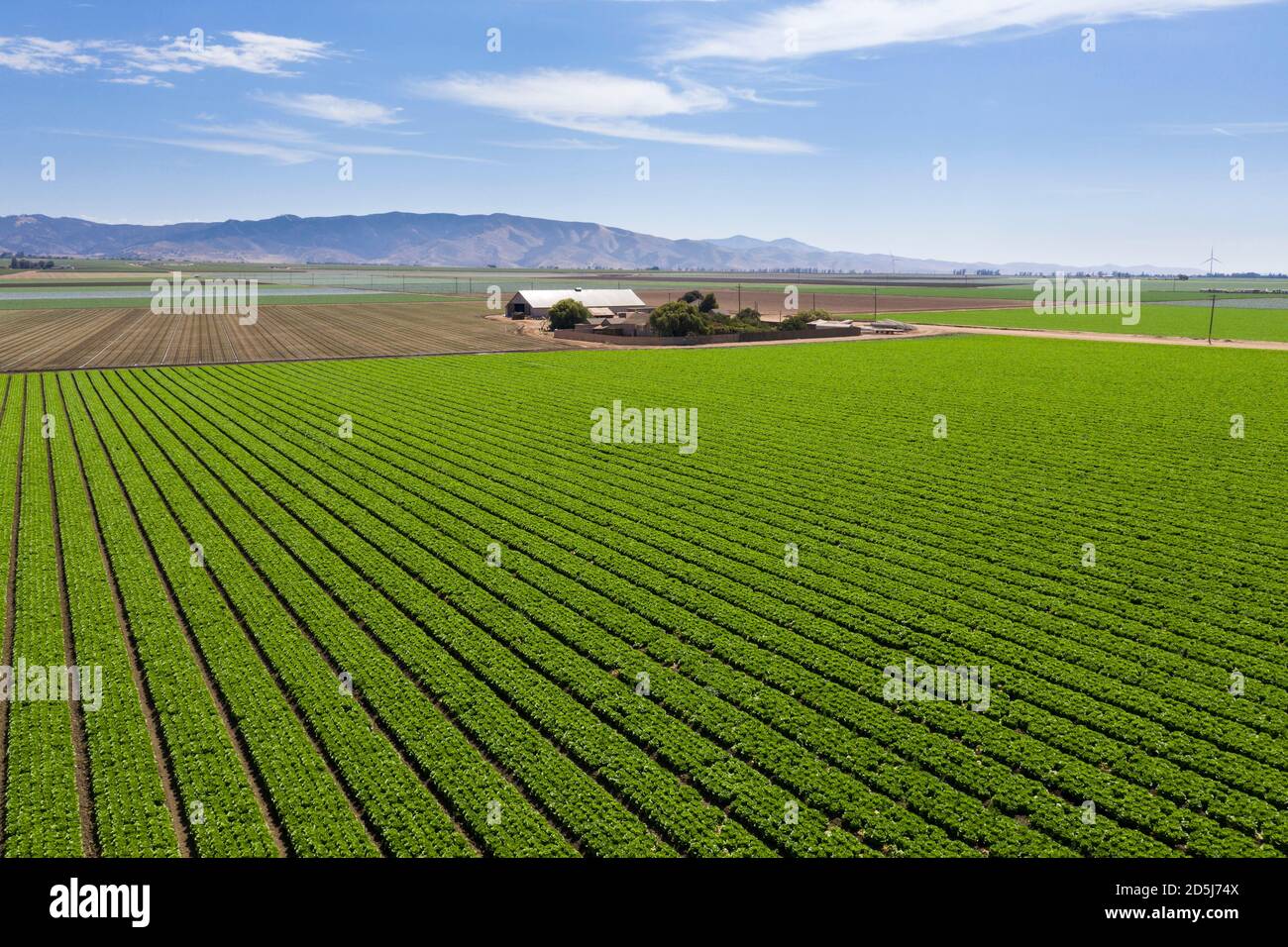 Luftaufnahme von Salatanbauflächen im Salinas Valley von Monterey County, Kalifornien Stockfoto