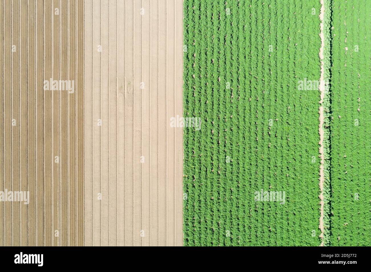 Abstrakte Luftaufnahmen von Salatfeldern im Salinas-Tal Von Kalifornien Stockfoto