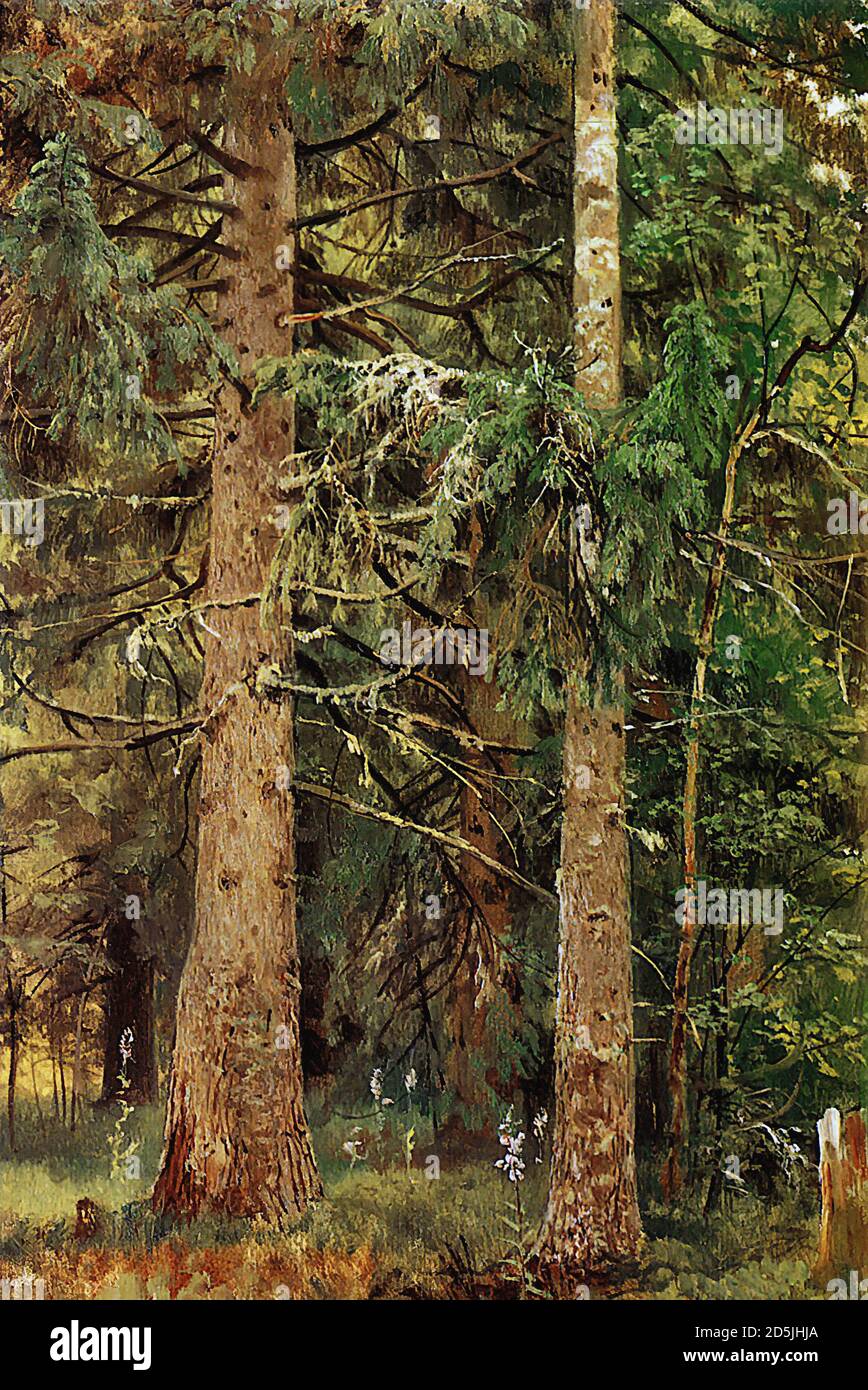 Shishkin Ivan - Fir Tree Forest - Russische Schule - 19. Jahrhundert Stockfoto