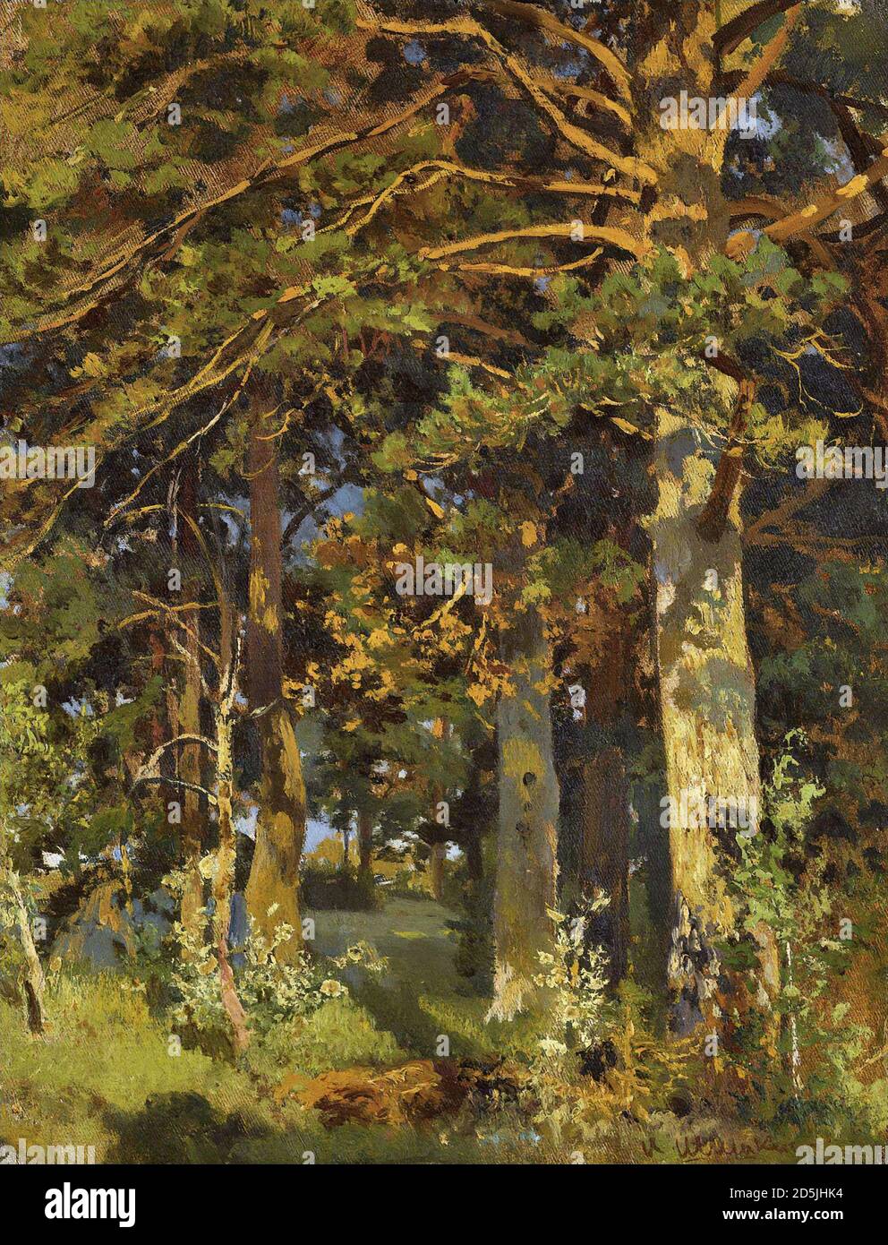 Schischkin Ivan - Waldklärer 1 - Russische Schule - 19. Jahrhundert Stockfoto