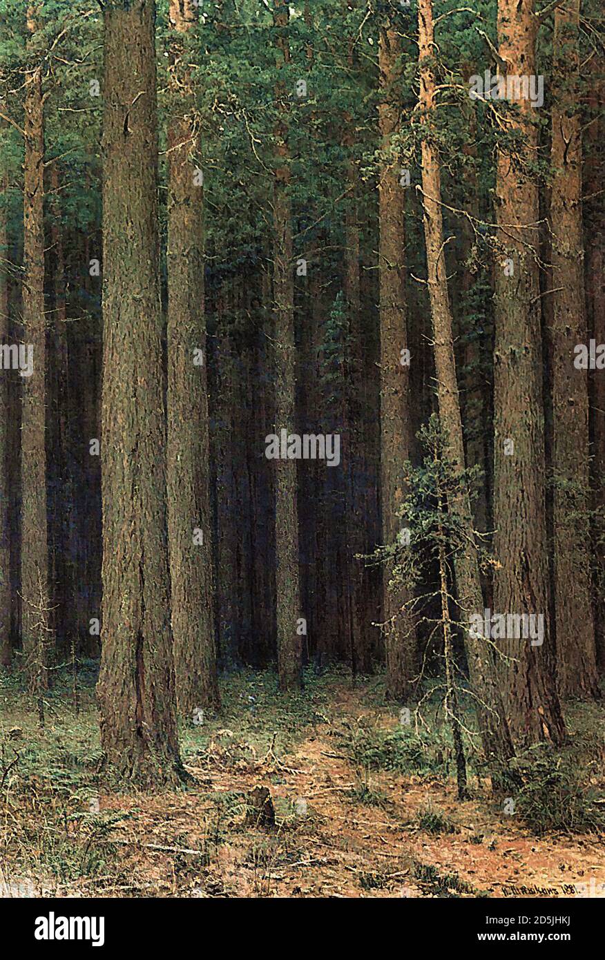 Shishkin Ivan - Waldreservat. Pine Grove - Russische Schule - 19. Jahrhundert Stockfoto