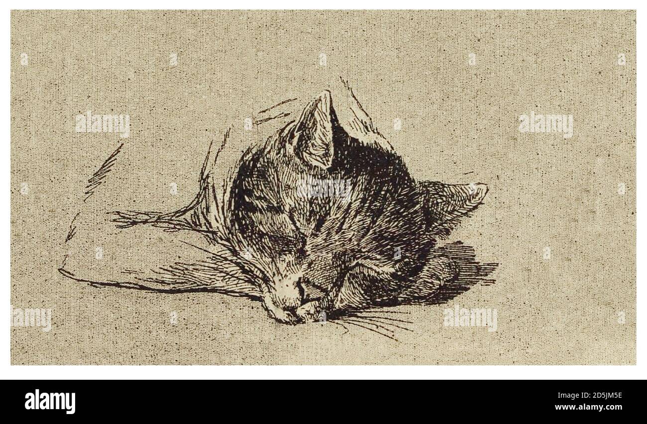 Retro Clipart der Katze. Stockfoto