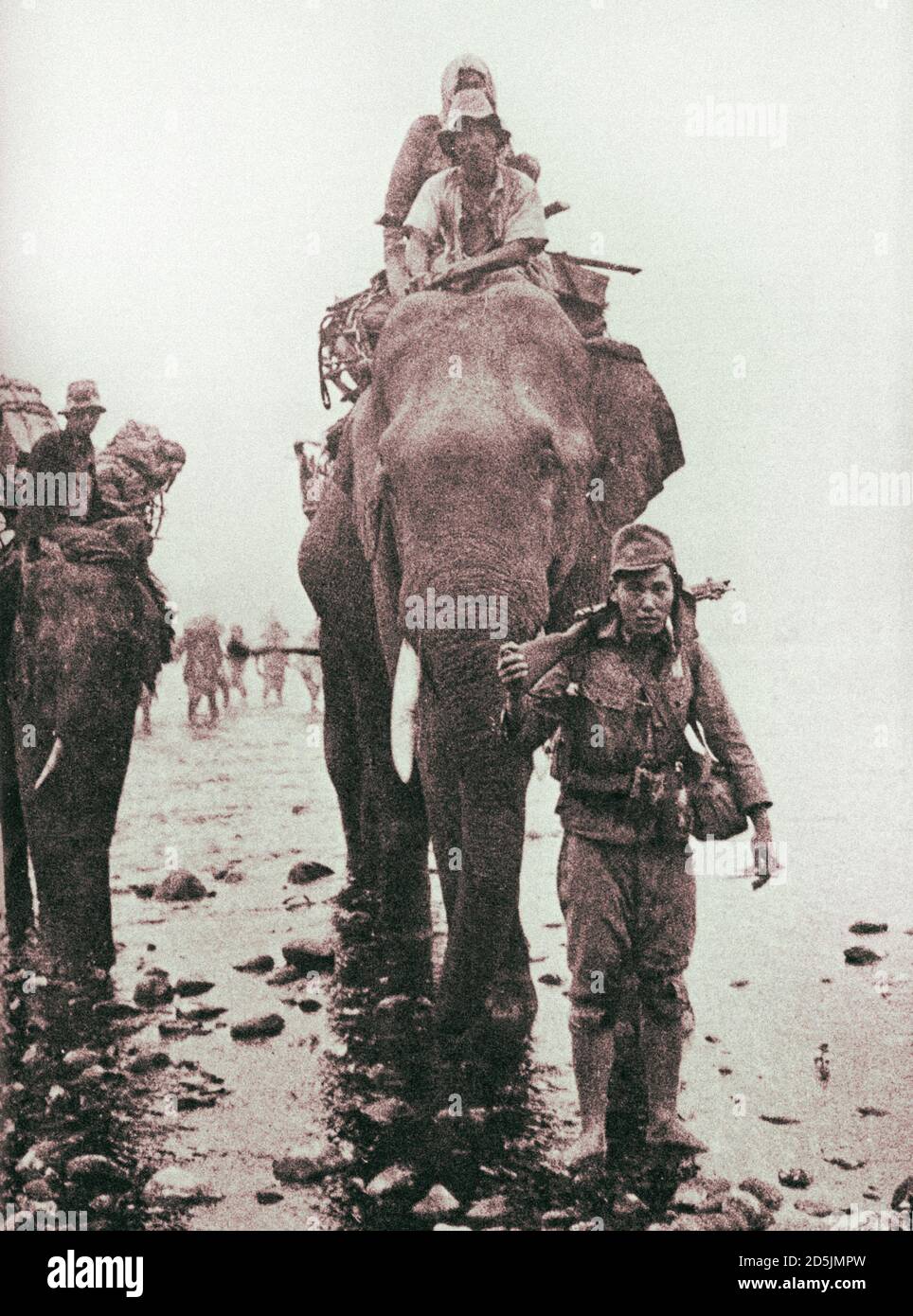 Die japanische Armee transportiert während der Kämpfe in Burma eine militärische Ladung Elefantenrücken. 1944 Stockfoto