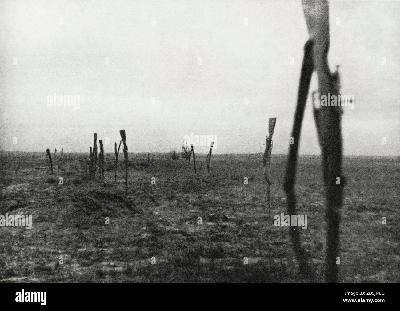 Mosin-Nagant-Gewehre von Soldaten der Roten Armee, die sich der Nazi-Wehrmacht ergeben hatten, steckten Bajonette in den Boden. Blitzkrieg im Osten. 1941 Stockfoto