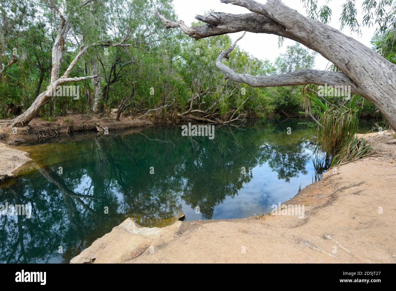 Ruhige Szene am Douglas River, Douglas Daly, Northern Territory, NT, Australien Stockfoto