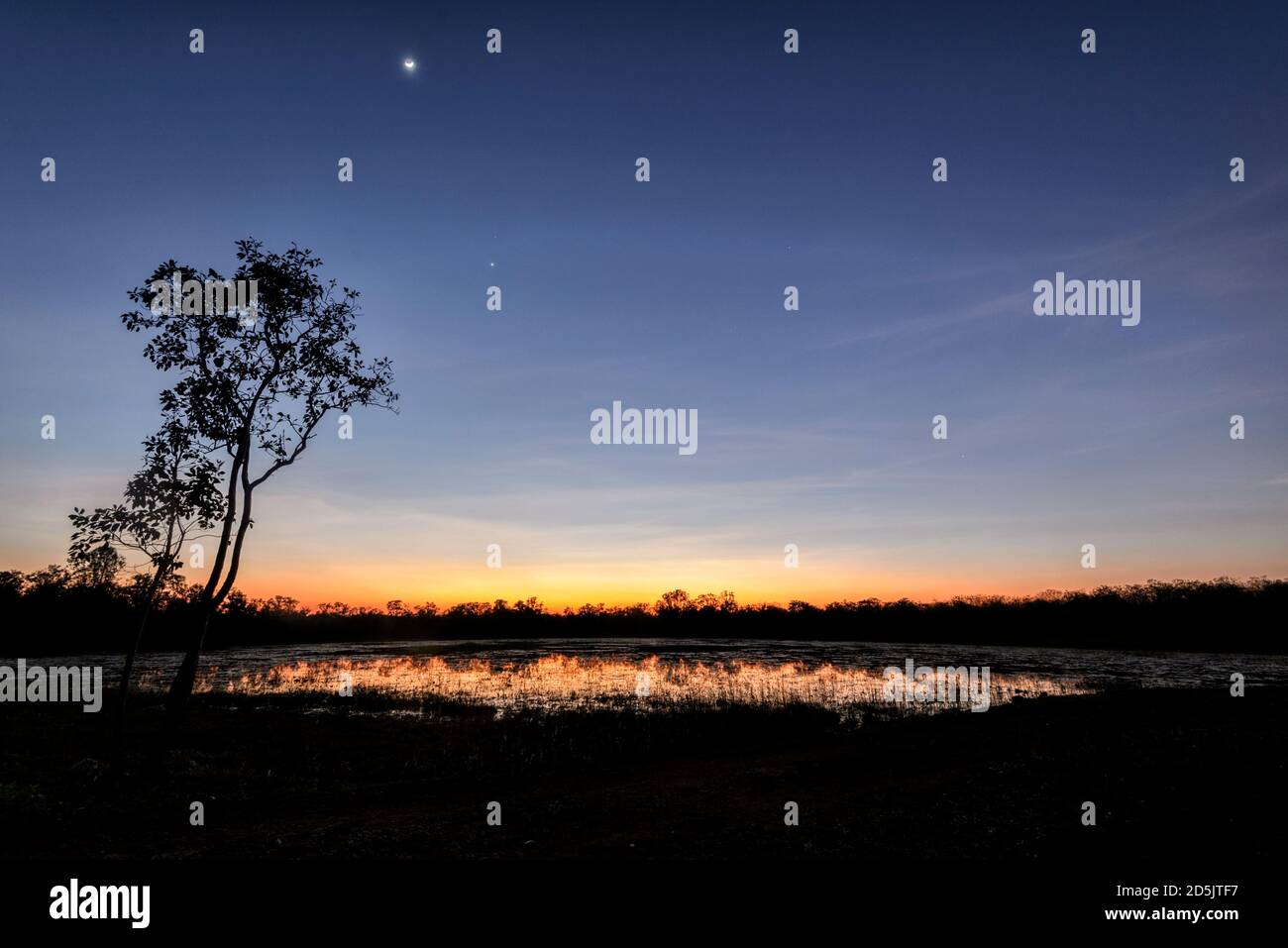 Moonlit Feuchtgebiete bei Sonnenaufgang, Schiefe Baum Lagune, Marrakesch, Northern Territory, NT, Australien Stockfoto