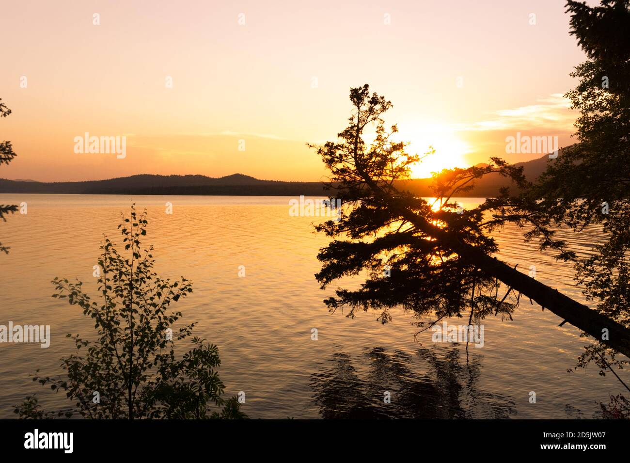 Wunderschöner Sonnenuntergang über dem See. Sommer Stockfoto