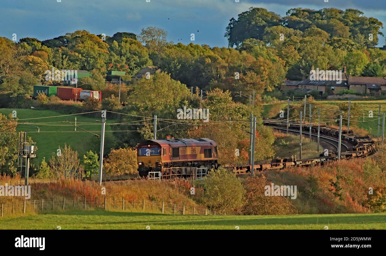 DB Cargo Diesel Lokomotive 66067 rundet die Kurven in Wreay Im Süden von Carlisle an der Spitze der intermodalen Containerzug auf dem Weg nach Schottland Stockfoto