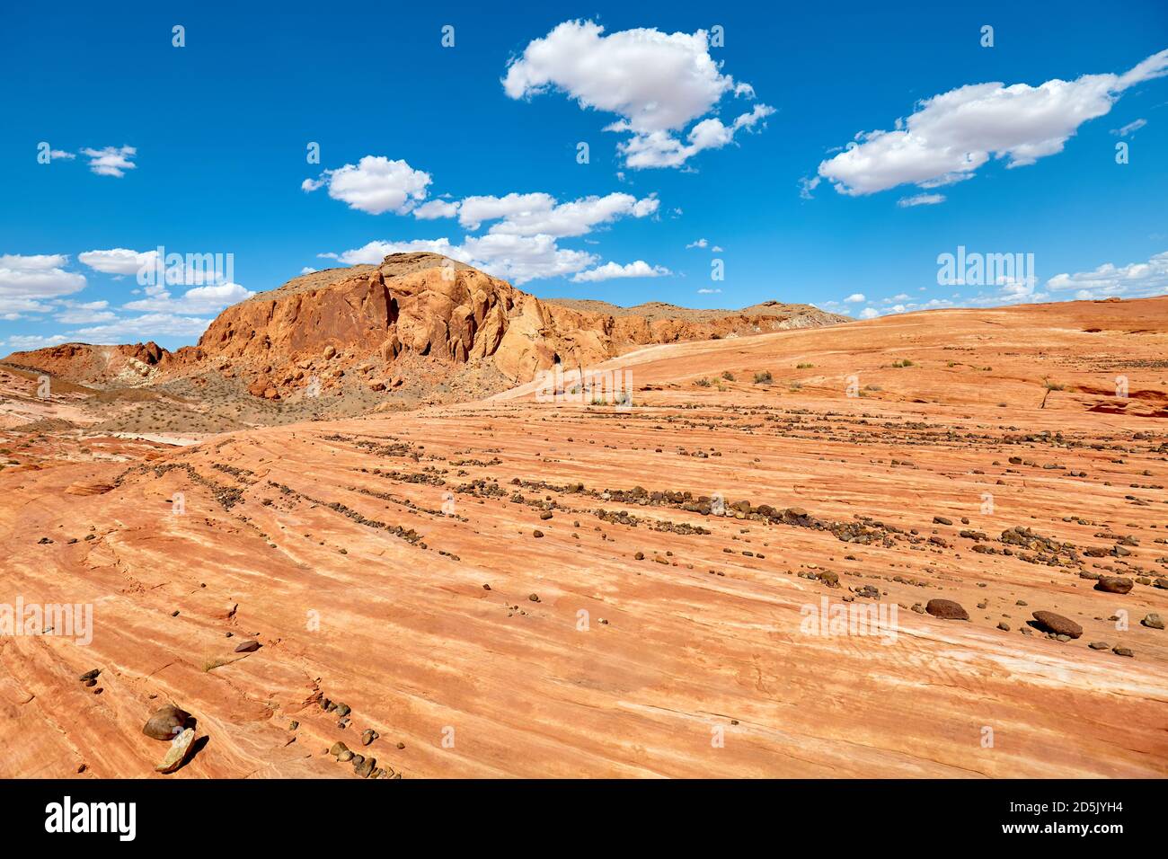 Sandsteinformationen im Valley of Fire State Park, Nevada, USA. Stockfoto