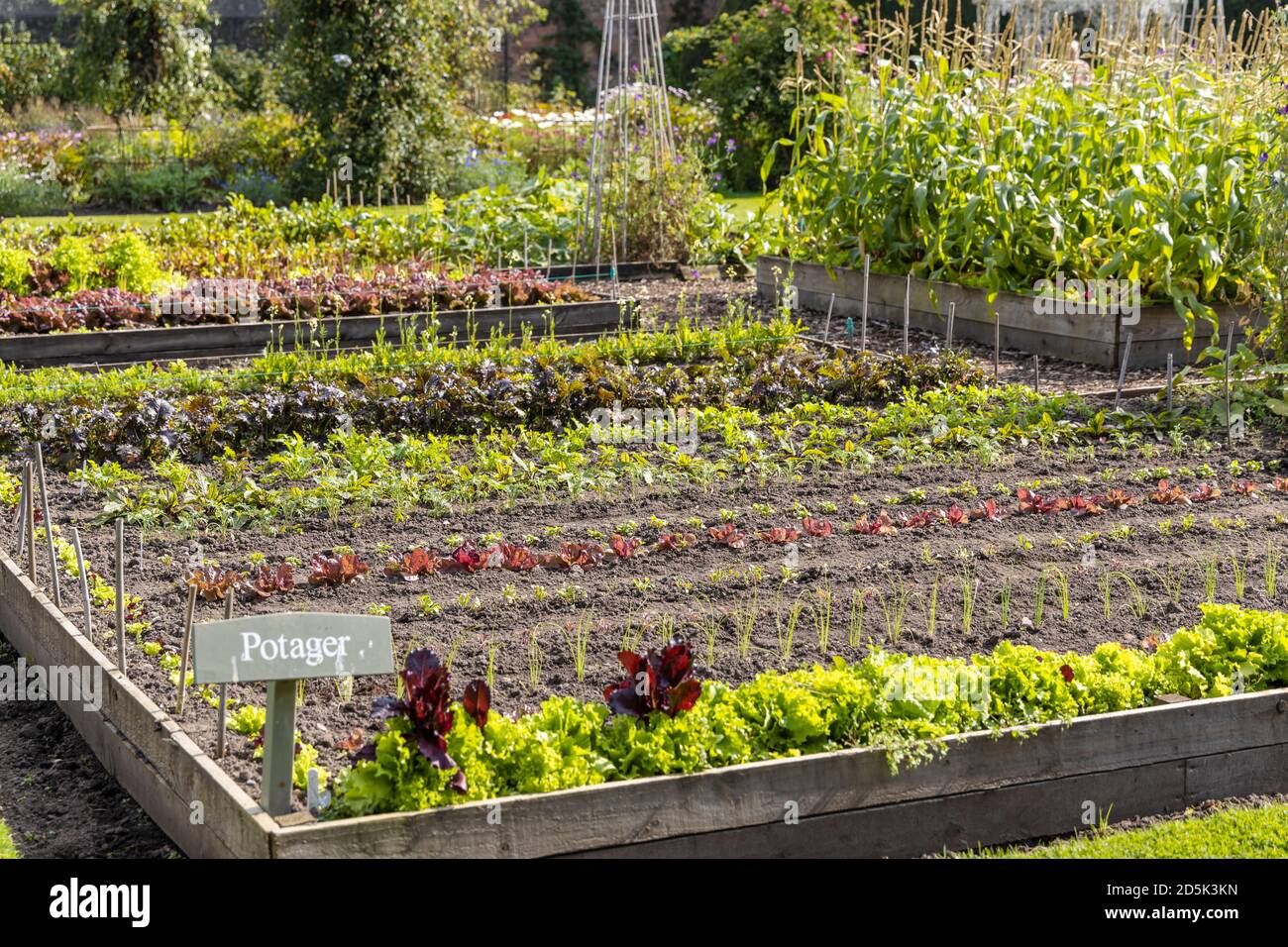 Potager Garten mit symmetrischen Gartenbeeten wachsenden Reihen von Gemüse mit Blumen, Obst und Kräutern vermischt. Stockfoto