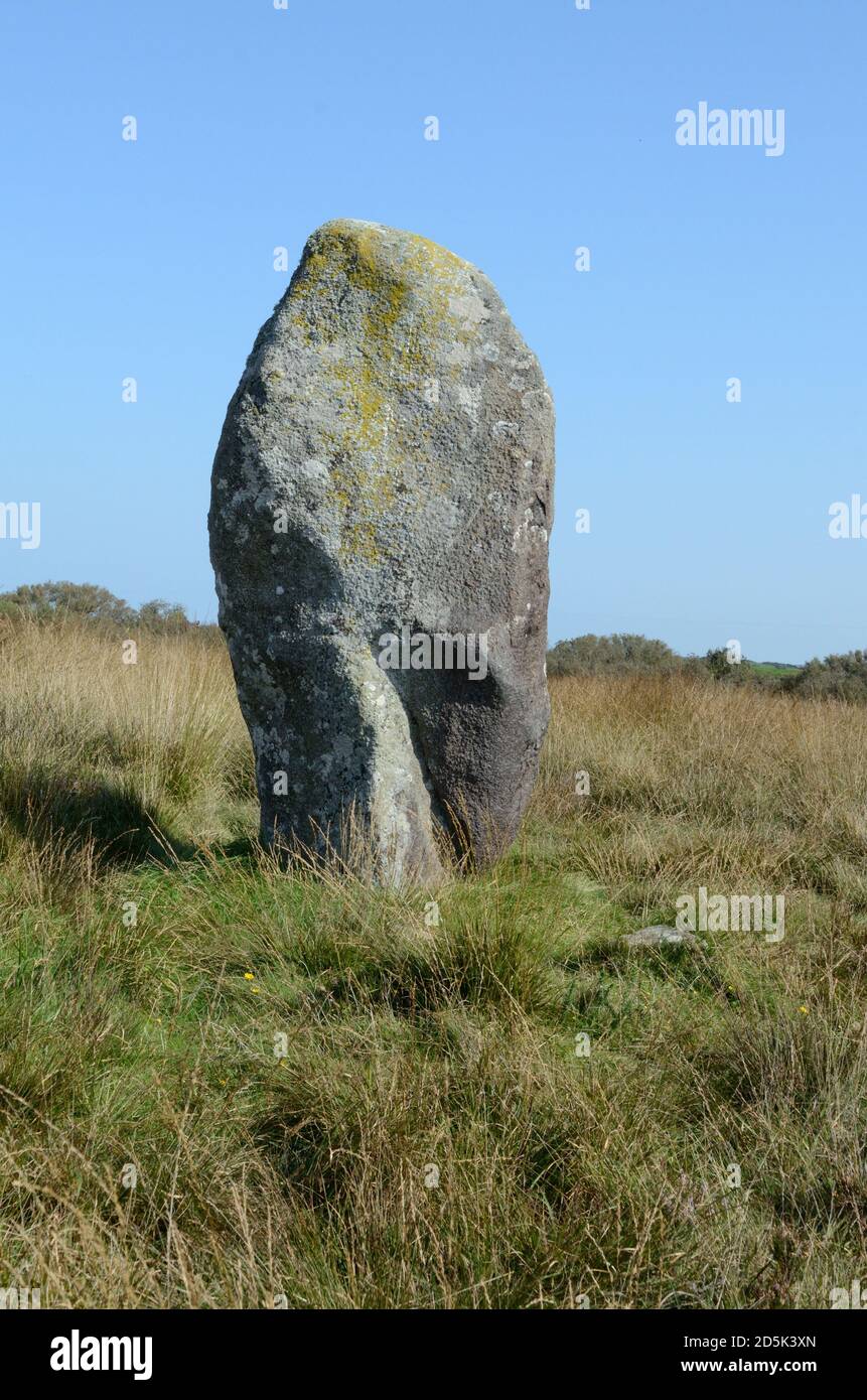 Rhos y Clegyrn Standing Stone Menhir neolithische Bronzezeit St Nicholas Pembrokeshire Wales Cymru Großbritannien Stockfoto