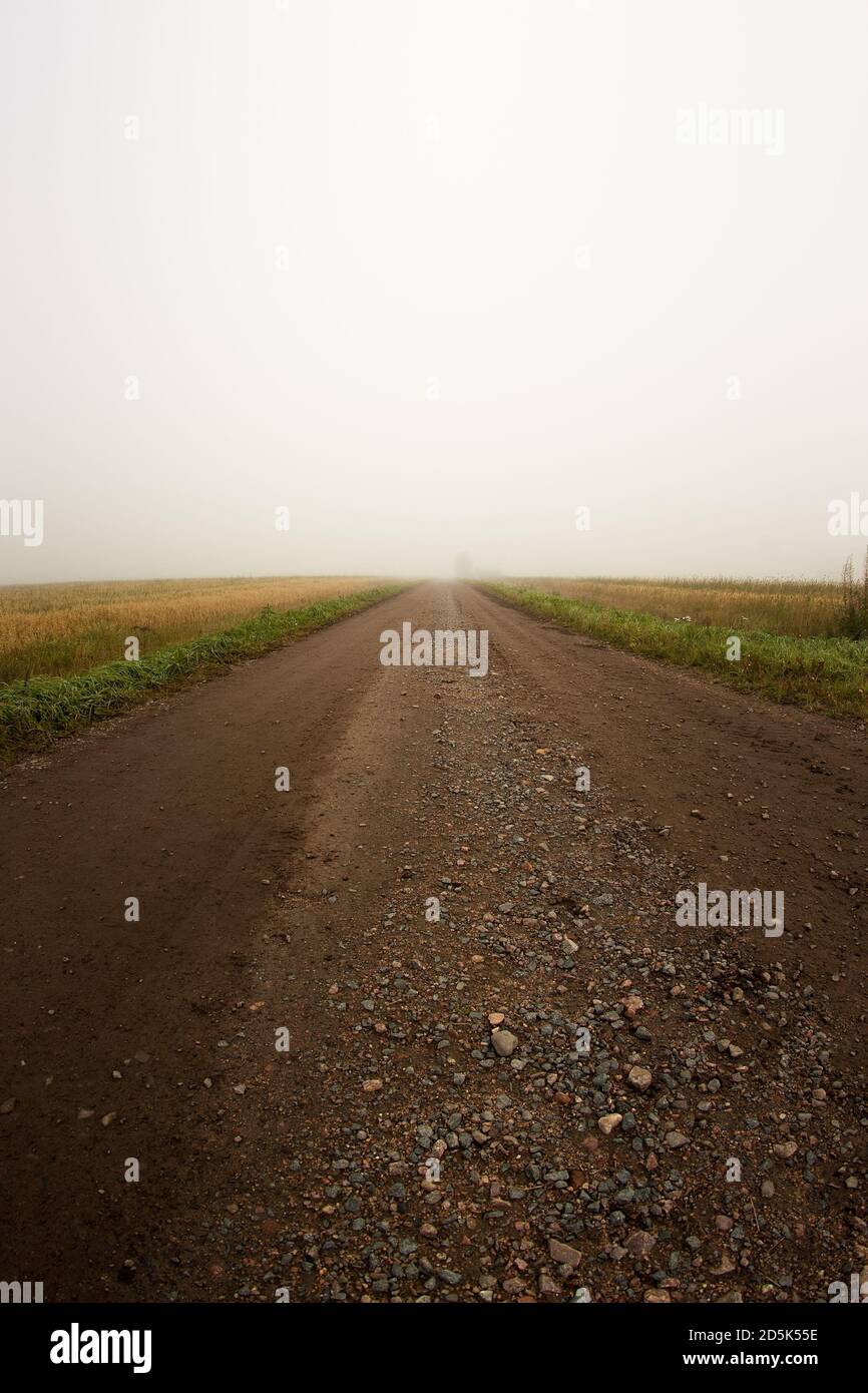 Eine Schotterstraße führt zum Nebel über den Feldern im ländlichen Finnland. Die Herbstmorgen sind im nördlichen Teil des Landes sehr neblig. Stockfoto