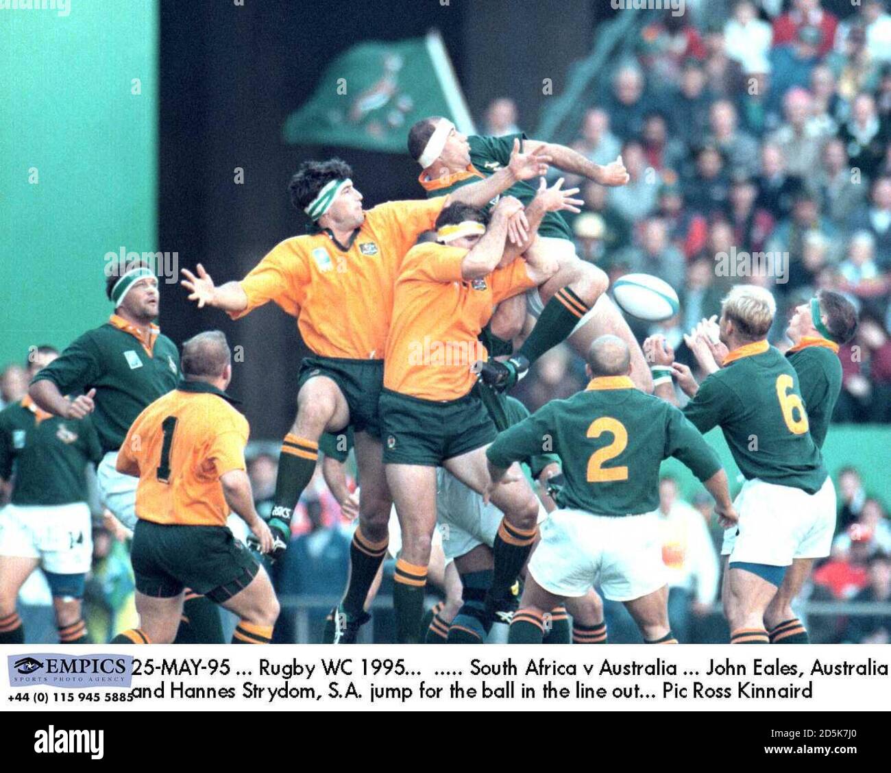 25-MAI-95 ... Rugby-Weltmeisterschaft 1995. ..... Südafrika V Australien ... John Eales, Australien, und Hannes Strydom, S.A. springen um den Ball in der Linie heraus Stockfoto