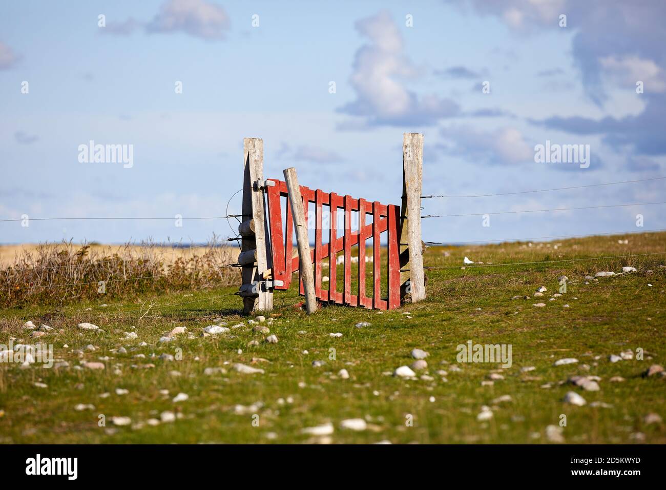 Holztor zur Weide, bei Issehoved auf Samsø, Dänemark Stockfoto