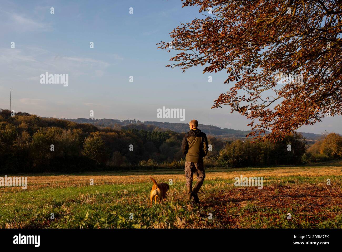 Cardiff, Wales, Großbritannien. Oktober 2020. Ein Mann und ein Hund gehen bei einem morgendlichen Spaziergang in Cardiff unter einem Baum mit herbstlichen Farben. Kredit: Mark Hawkins/Alamy Live Nachrichten Stockfoto