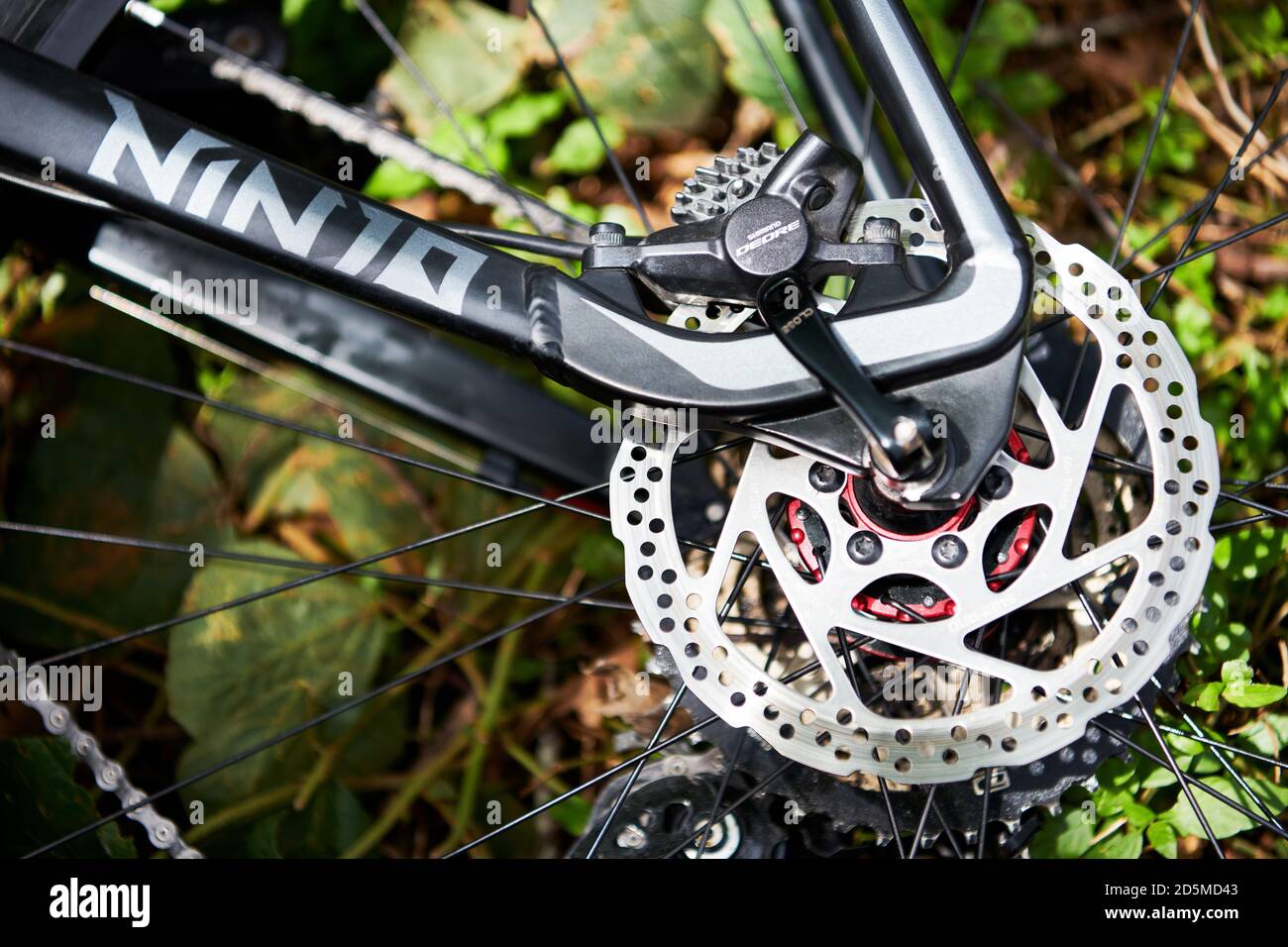 Nahaufnahme eines schwarzen Ninja-Mountainbike-Rahmens mit einem Shimano Deore Hinterrad-Scheibenbremsen-Rotor aus glänzendem Metall, mit natürlichem Hintergrund Stockfoto