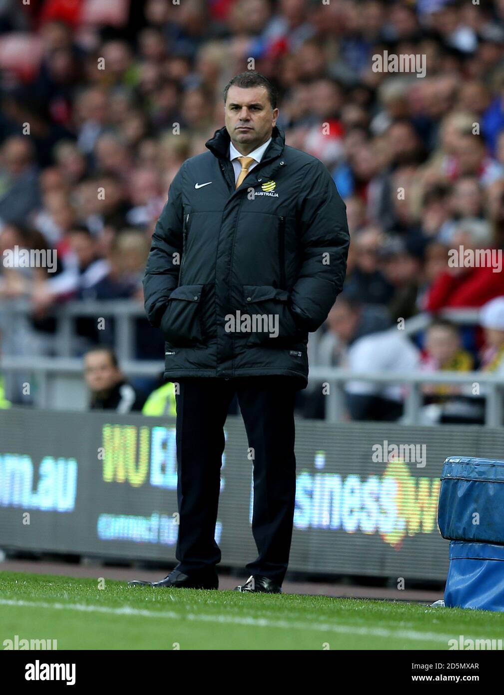 Australien-Managerin Ange Postecoglou an der Touchline Stockfoto