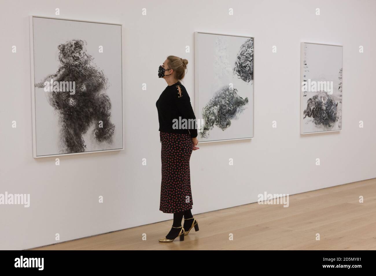 London, Großbritannien, 14. Oktober 2020: Die Künstlerin Maggi Hambling eröffnet in der Marlborough Gallery in Mayfair eine Gemäldeausstellung zu ihrem 75. Geburtstag. Neben einer Serie von Selbstporträts sind ihre Umweltbelange mit Bildern gefährdeter Tiere vertreten. Rachel Royse/Alamy Live News Stockfoto
