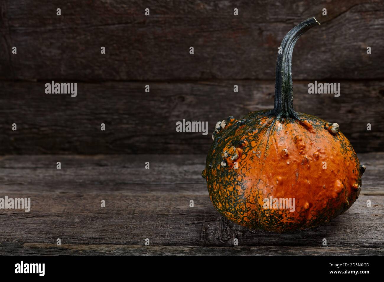 Warty Halloween Kürbis in alten Scheune auf Holzhintergrund, Feiertagsdekoration Stockfoto