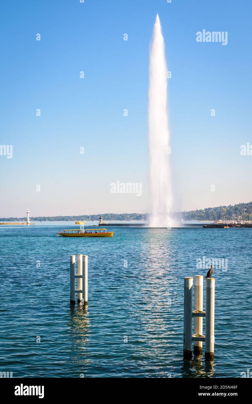 Die Bucht von Genf, Schweiz, mit dem Jet d'Eau Wasserstrahlbrunnen und einem Mouettes Genevoises Wasserbus, der an einem sonnigen Sommertag die Bucht überquert. Stockfoto