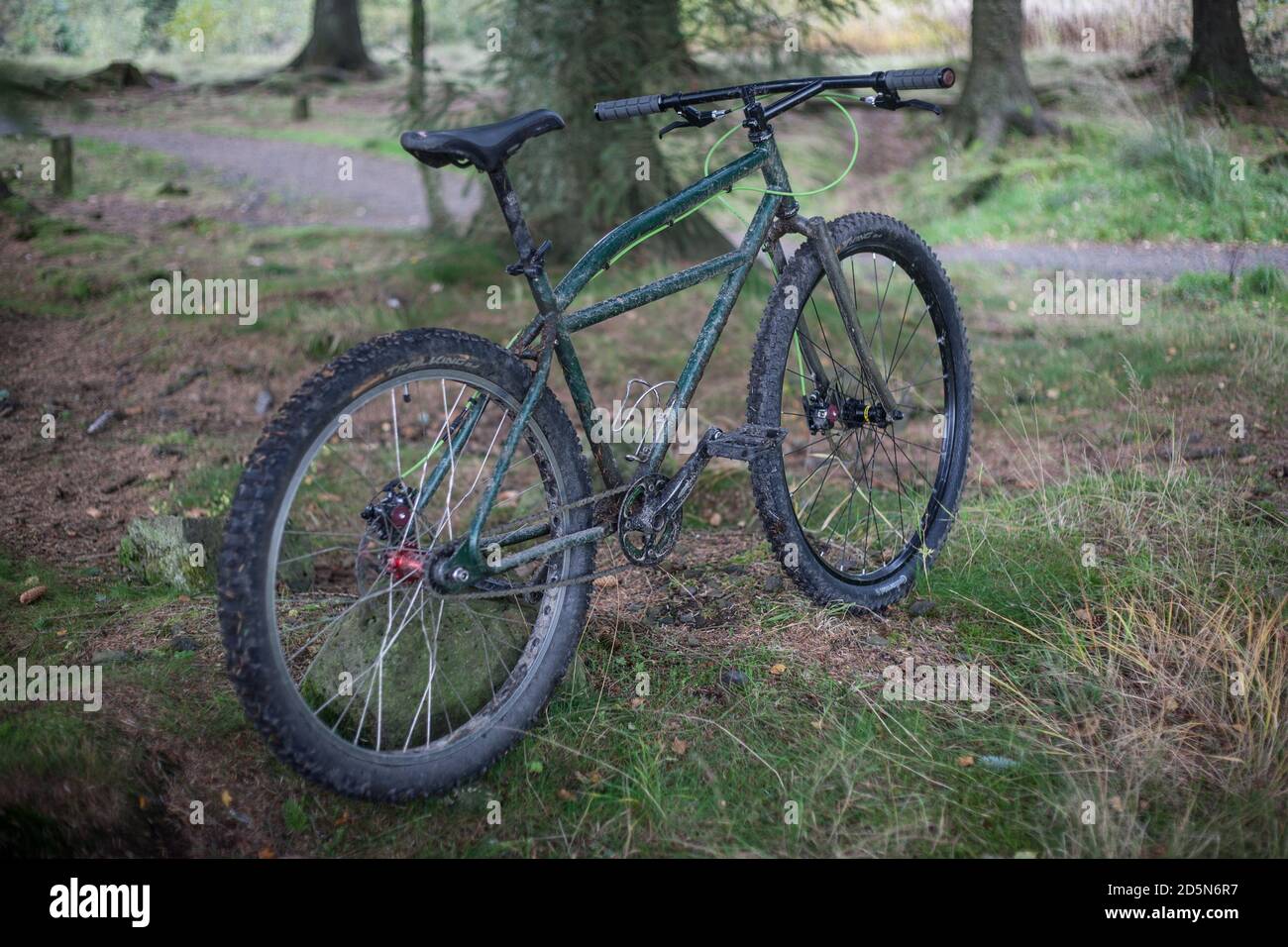Singlespeed Mountainbike im Wald Stockfotografie - Alamy