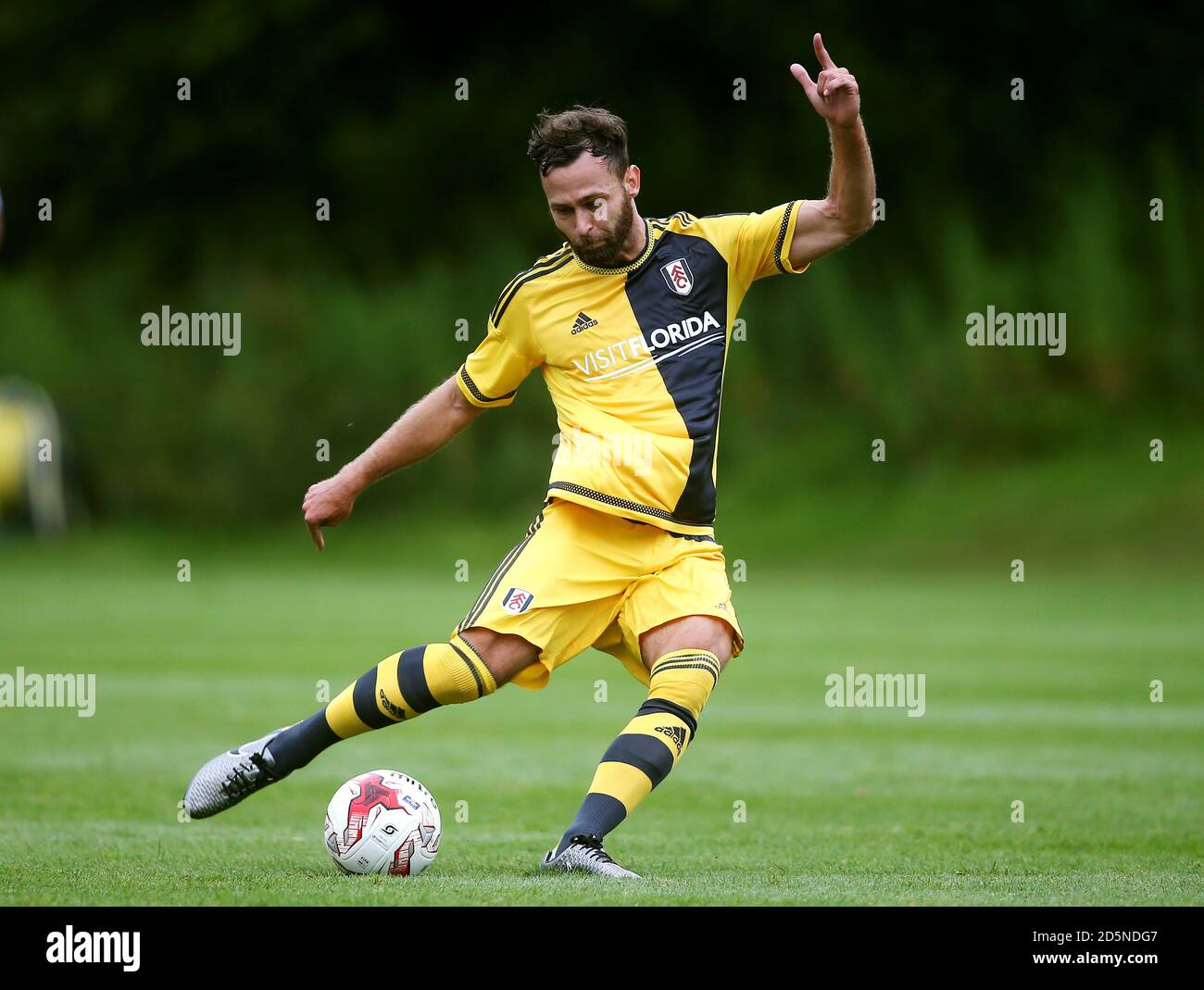 Michael Madl, Fulham Stockfoto