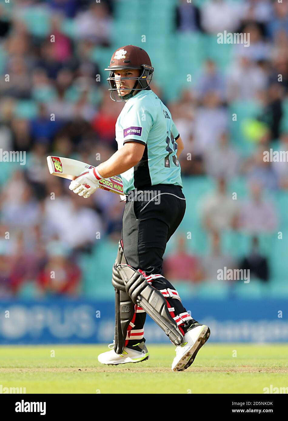 Aaron Finch, Surrey. Stockfoto