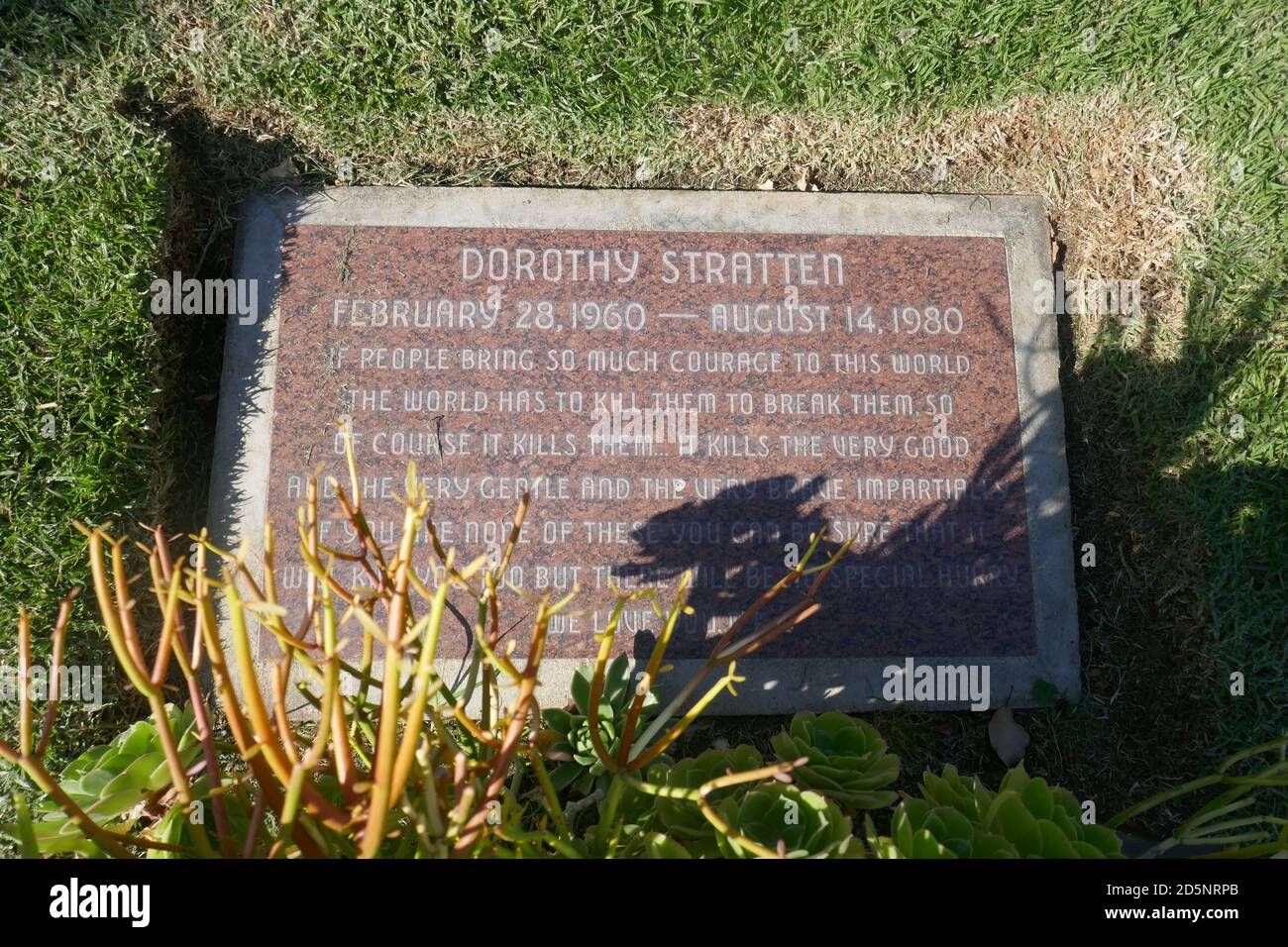 Dorothy stratten Fotos und Bildmaterial in hoher Auflösung Alamy