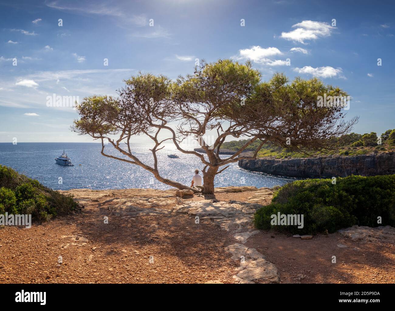 Mann sitzt unter einem Baum an sonnigen Tag mit Booten und blauen Himmel, Cala Pi, Mallorca, Spanien. Stockfoto