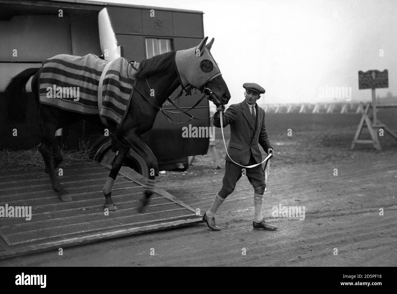 Der fünfte April, einer der Kandidaten für das Epsom Derby. Stockfoto