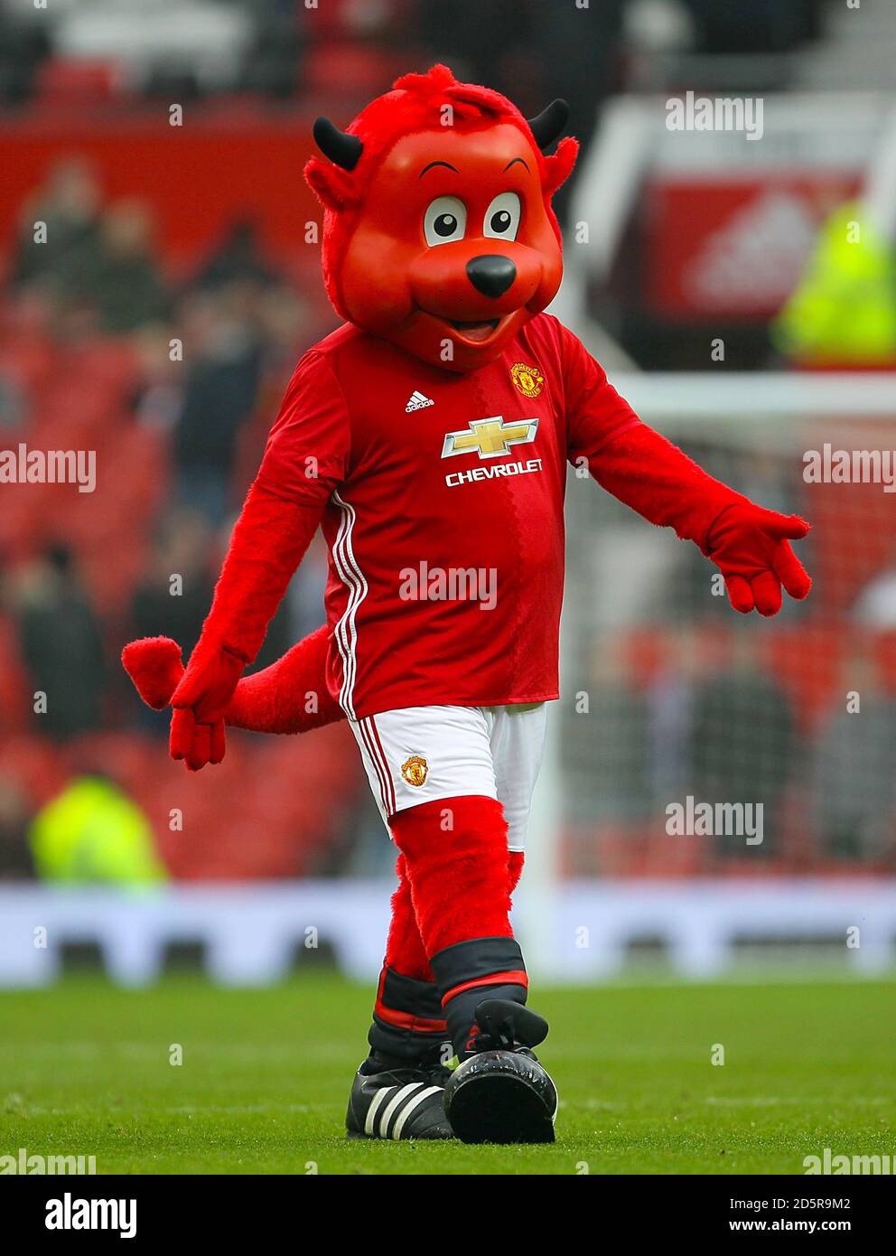 Manchester United Maskottchen Fred der Rote Stockfoto