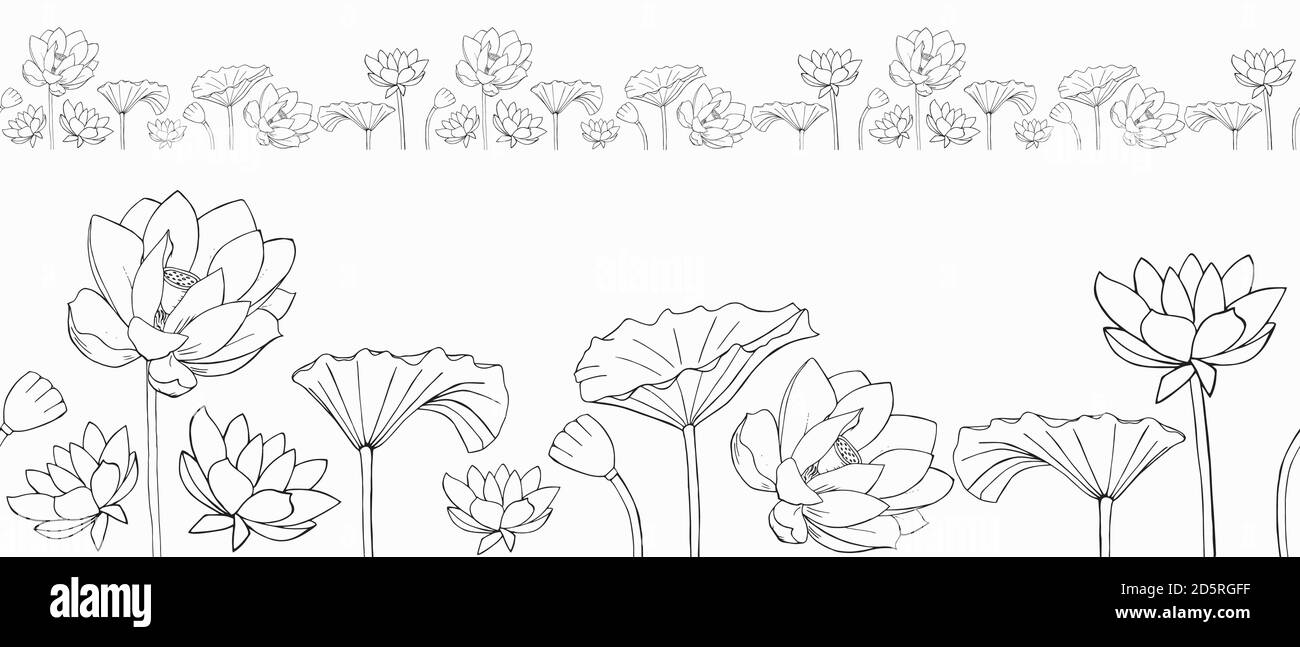 vektor nahtlose Grenze von Lotusblumen und Blättern Stock Vektor